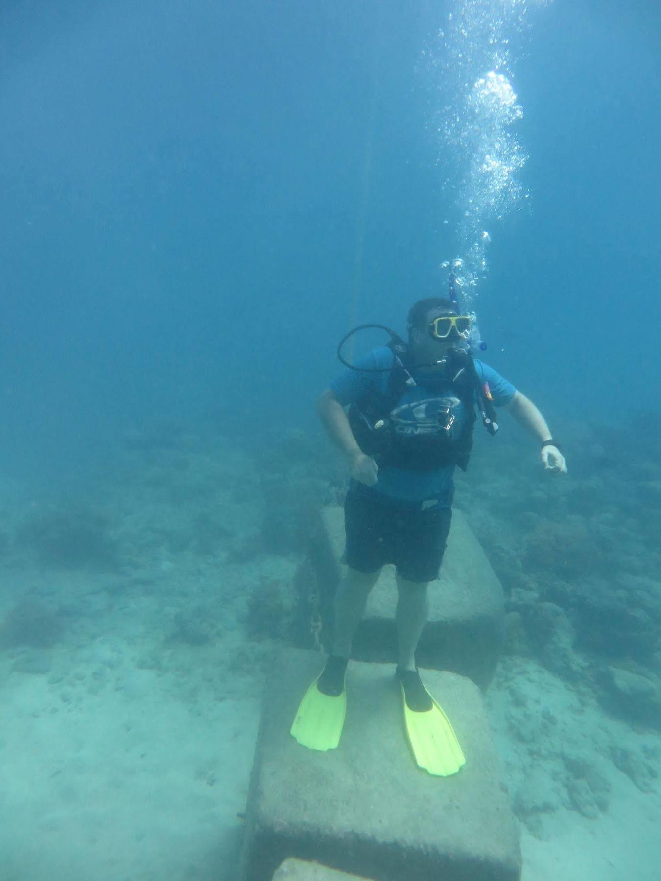 Reef Backpackers Hostel แคนส์ ภายนอก รูปภาพ